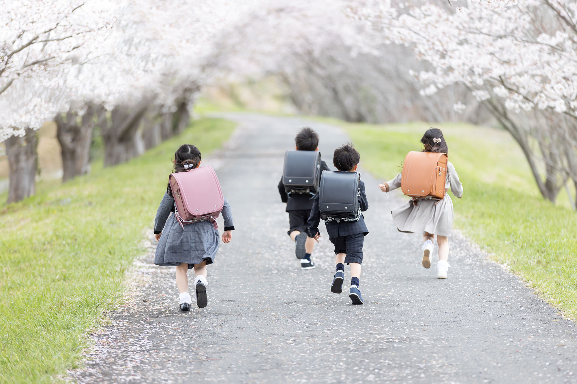 小学校の卒業アルバム用に撮影した児童の様子